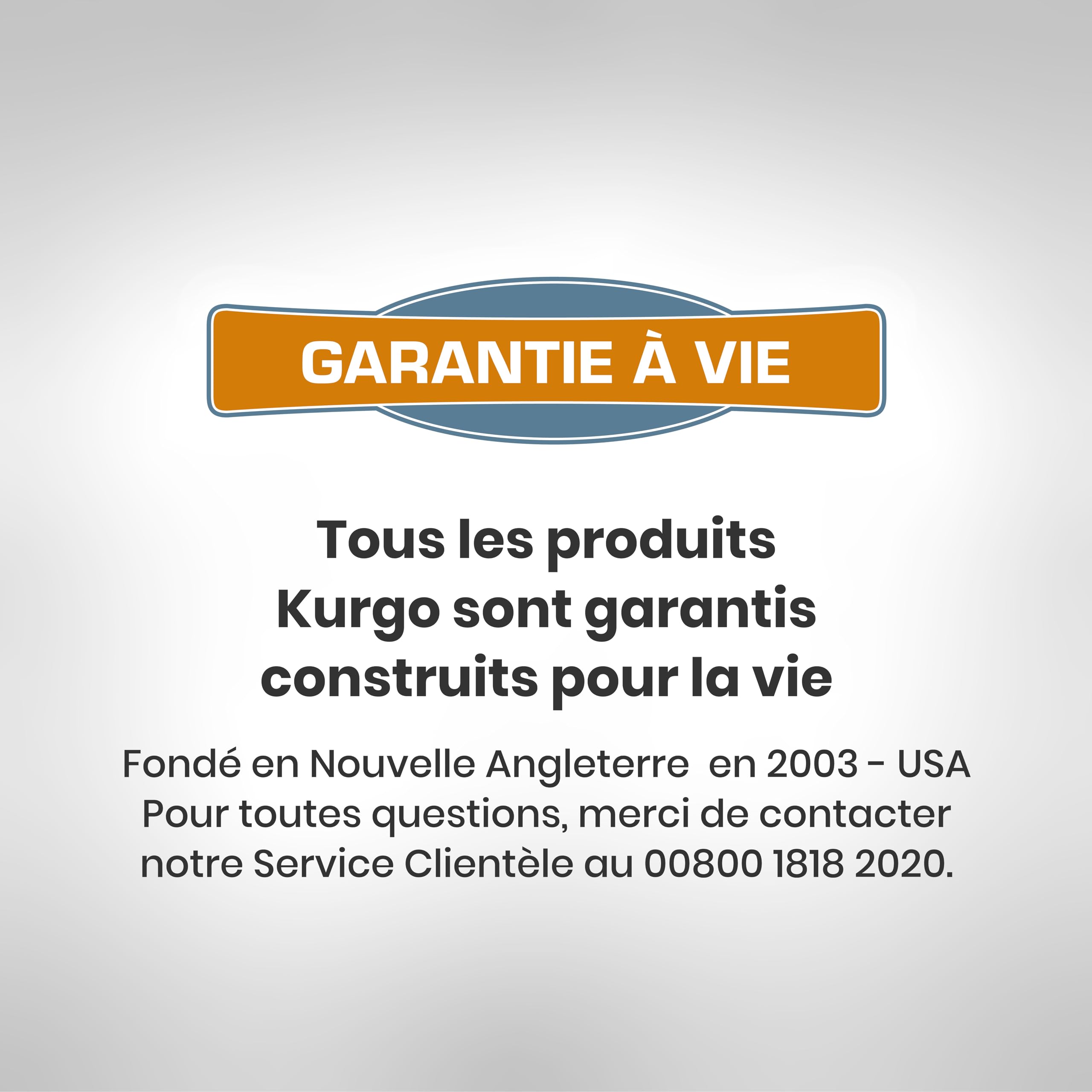 Kurgo Harnais pour Chiens Journey Air, pour la randonnée, courir et marcher tous les jours, réfléchissant – Bleu/gris - Taille L