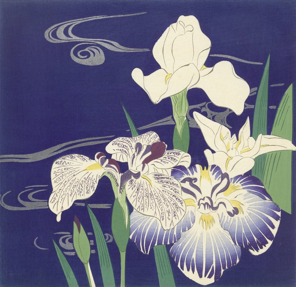 Amazon.com: Irises By Tsukioka Kogyo C 1890-1900 Japanese Print