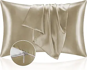 BEDELITE Satin Pillowcase with Zipper 2 Pack, Taupe Pillow Cases Standard Size, Super Soft and Cooling Similar to Silk Pillow Cases, Gift for Women Men(20x26 Inches)