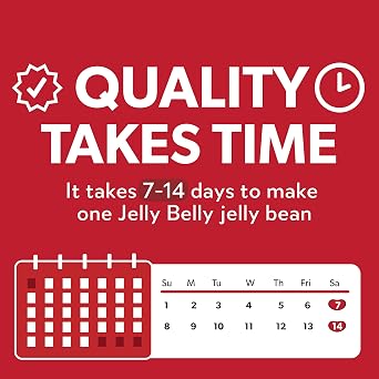 Jelly Belly Cinnamon Jelly Beans - 1 Pound (16 Ounces) Resealable Bag - Genuine, Official, Straight from the Source