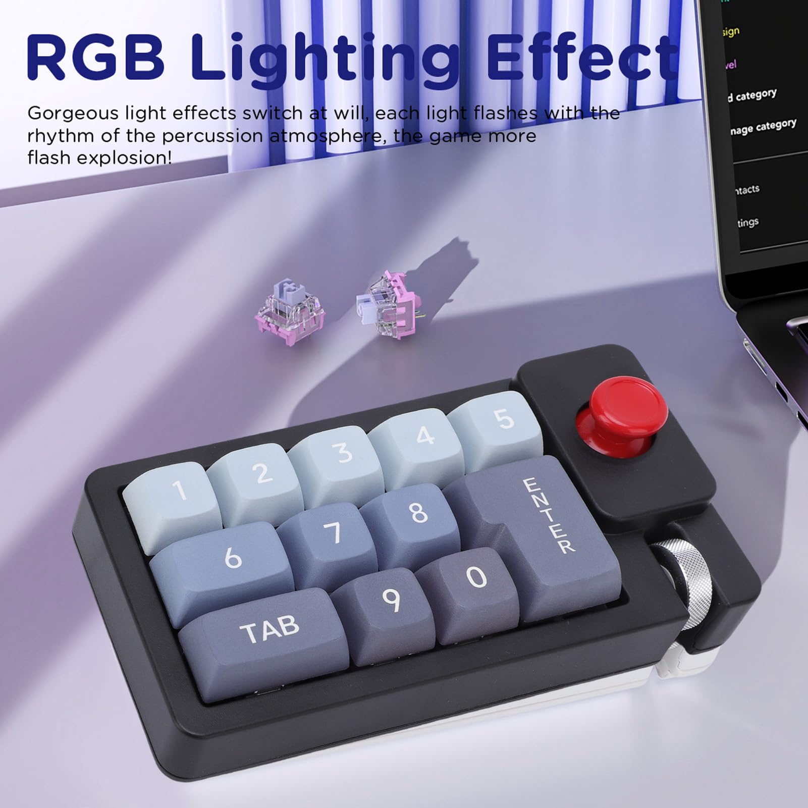 Asixxsix Pavé Numérique Mécanique, Clavier Macro USB Filaire 12 Touches avec Rétroéclairage RVB 12 Modes et Molette de Joystick, pavé Numérique Programmable Remplaçable à Chaud pour Mac (Black)