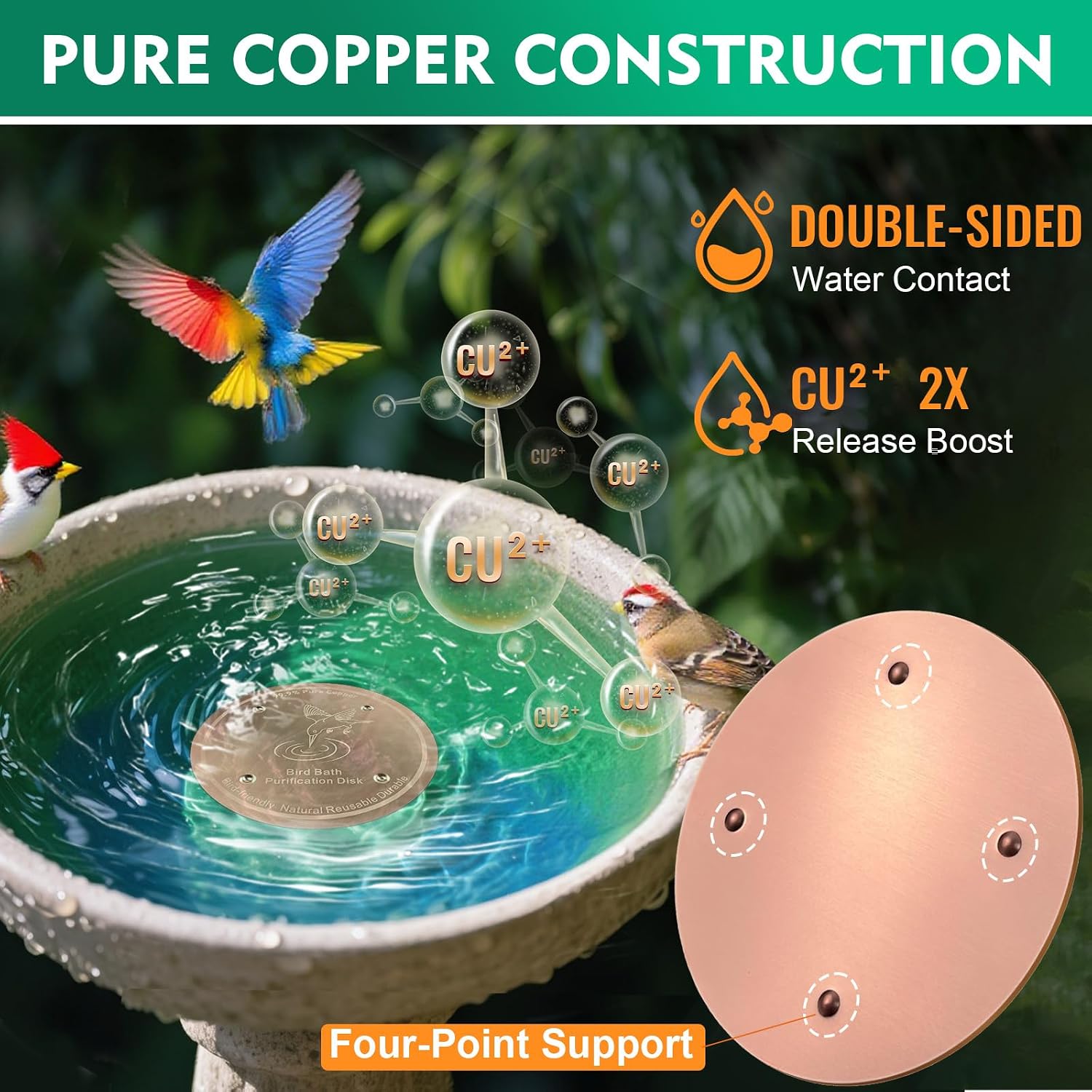 1 Pcs Copper Disc for Bird Bath | 99.99% Pure Copper Plate & Birdbath Disk | 0.6mm Thick Reinforced Design | Maintains Clean Water Naturally | Fits All Birdbath Bowls Year-Round (Bird Style 4) image 4