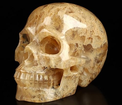 Miniatura 7 de Skullis Calavera de cristal de cuarzo fundido de 5.0 pulgadas, escultura de arte fino de piedras preciosas talladas a mano, estatua de piedra