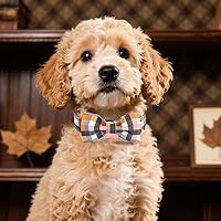 Vista 13 de Maca Bates Fall Maple Leaf Dog Collar with Sailor Bow Tie for Extra Small Girl,Boy,Autumn Foliage Puppy Collars with Bowtie Breakaway Adjustable
