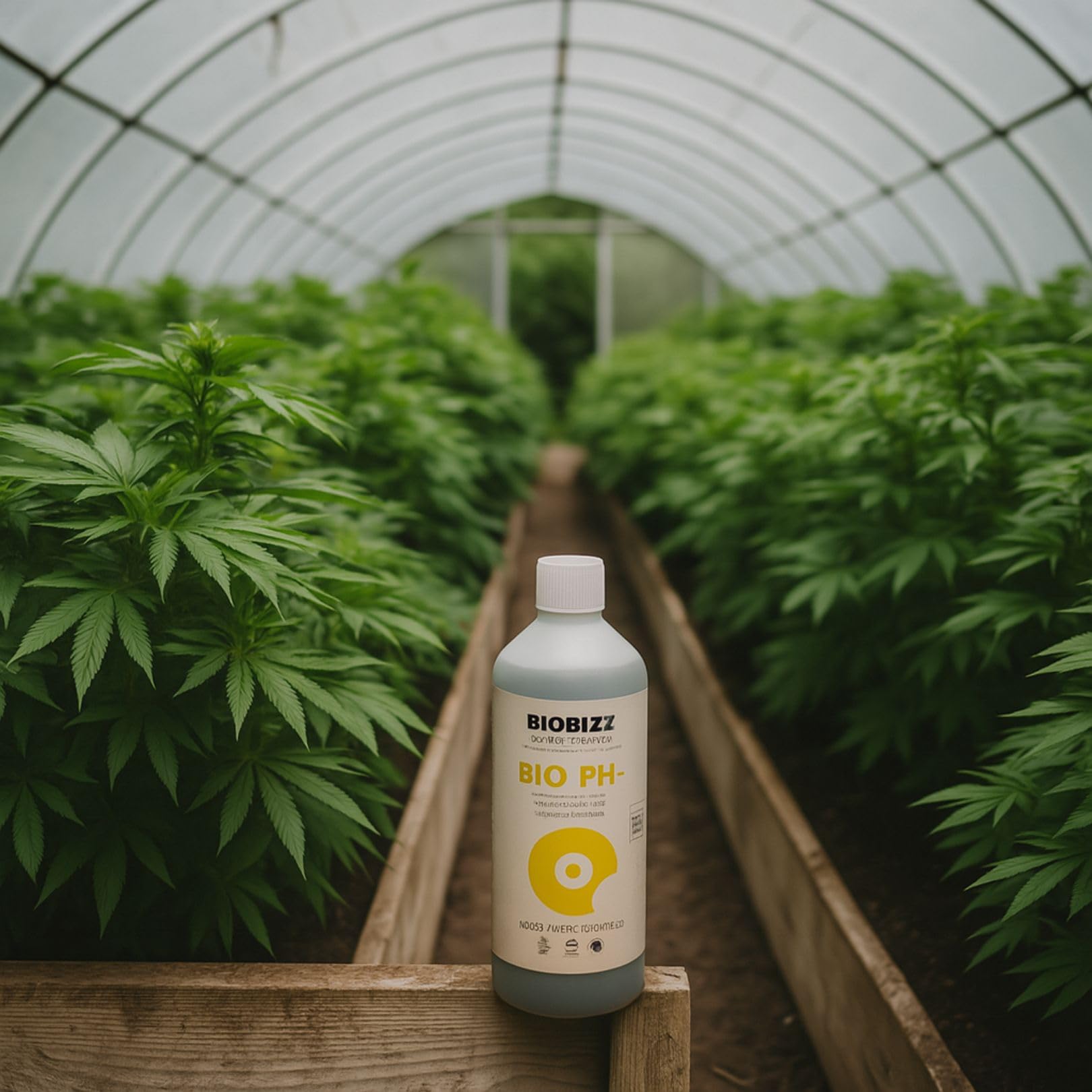 BioBizz Bio pH- Menos 5 Liter - Crecimiento de cultivo biológico natural con reducción de pH para interiores Fertilizante ph Minus Liquid