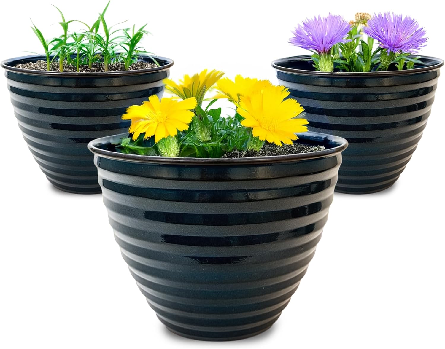 Headwind Ironstone 10" Avondale Classic - Midnight Sapphire 3-Pack