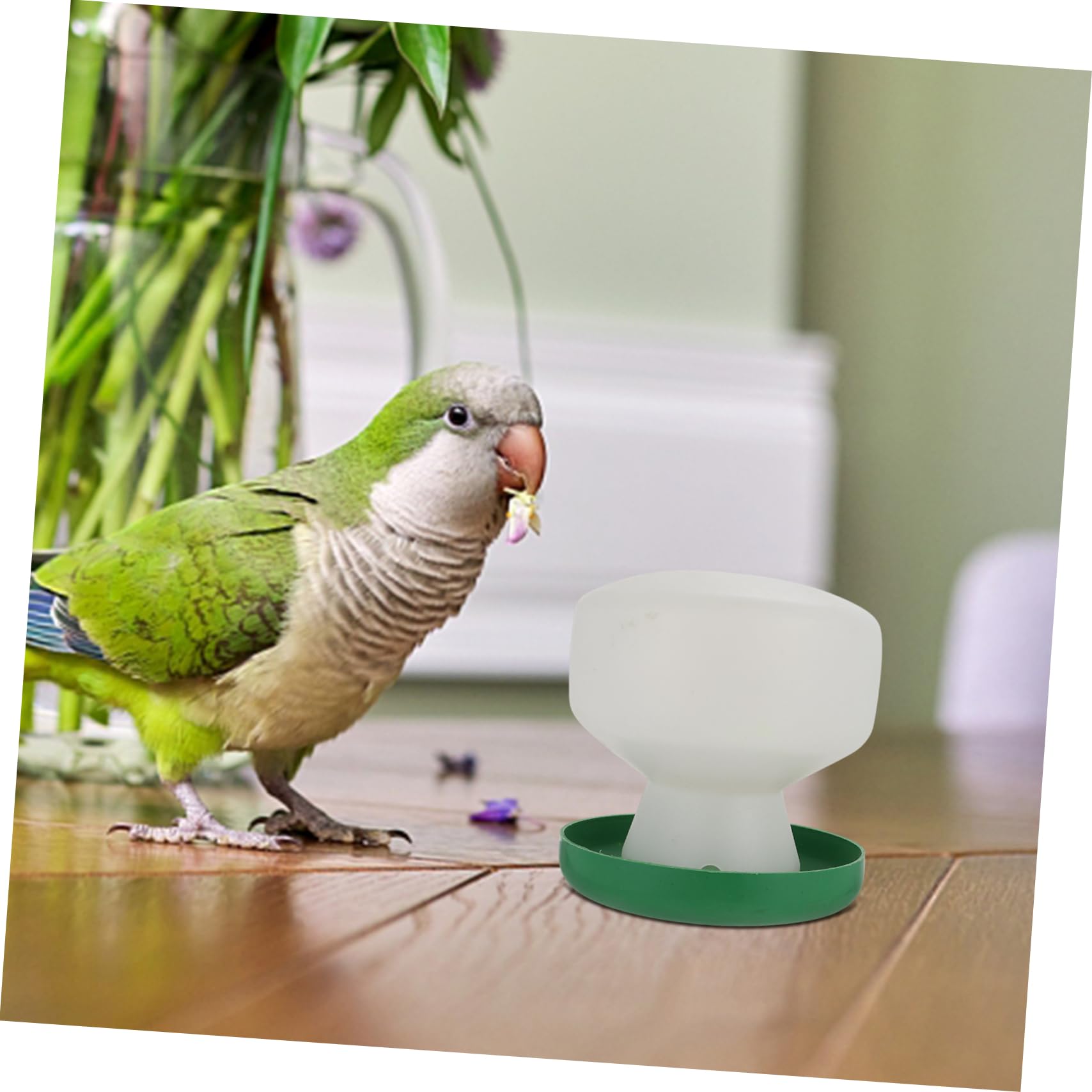 VANZACK 6pièces Distributeur Automatique Eau pour Oiseaux Lot de Accessoires Pratiques pour Perroquets Et Petits Oiseaux Conception Étanche Et