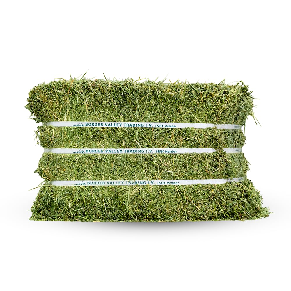 Border Valley Alfalfa Hay Bale in Bag, 40 lb - High Fiber Hay for Rabbits, Guinea Pigs, Chinchillas, Tortoises, Horses and Livestock - Protein-Rich Plant-Based Nutrition, Farm-to-Home Freshness