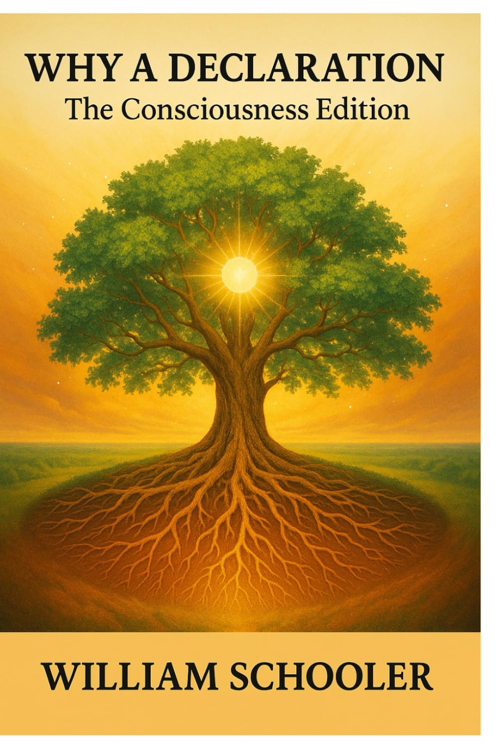 Why a Declaration. The Consciousness Edition