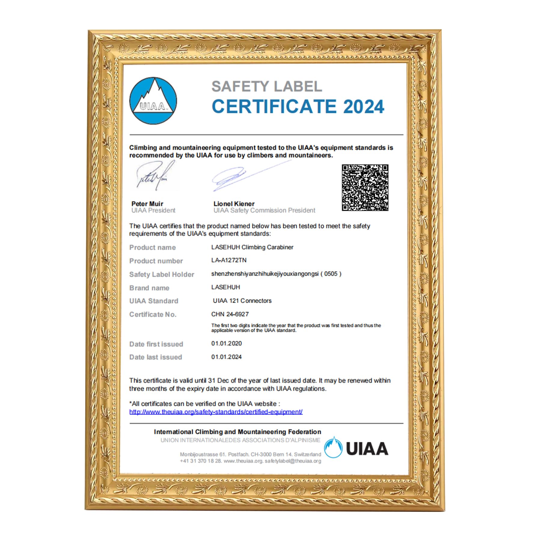 UIAA - Mosquetón de escalada con bloqueo automático de 25 KN, forma de D, bloqueo giratorio y mosquetones resistentes para escalada en roca, rappel, 3.93 pulgadas, tamaño grande.