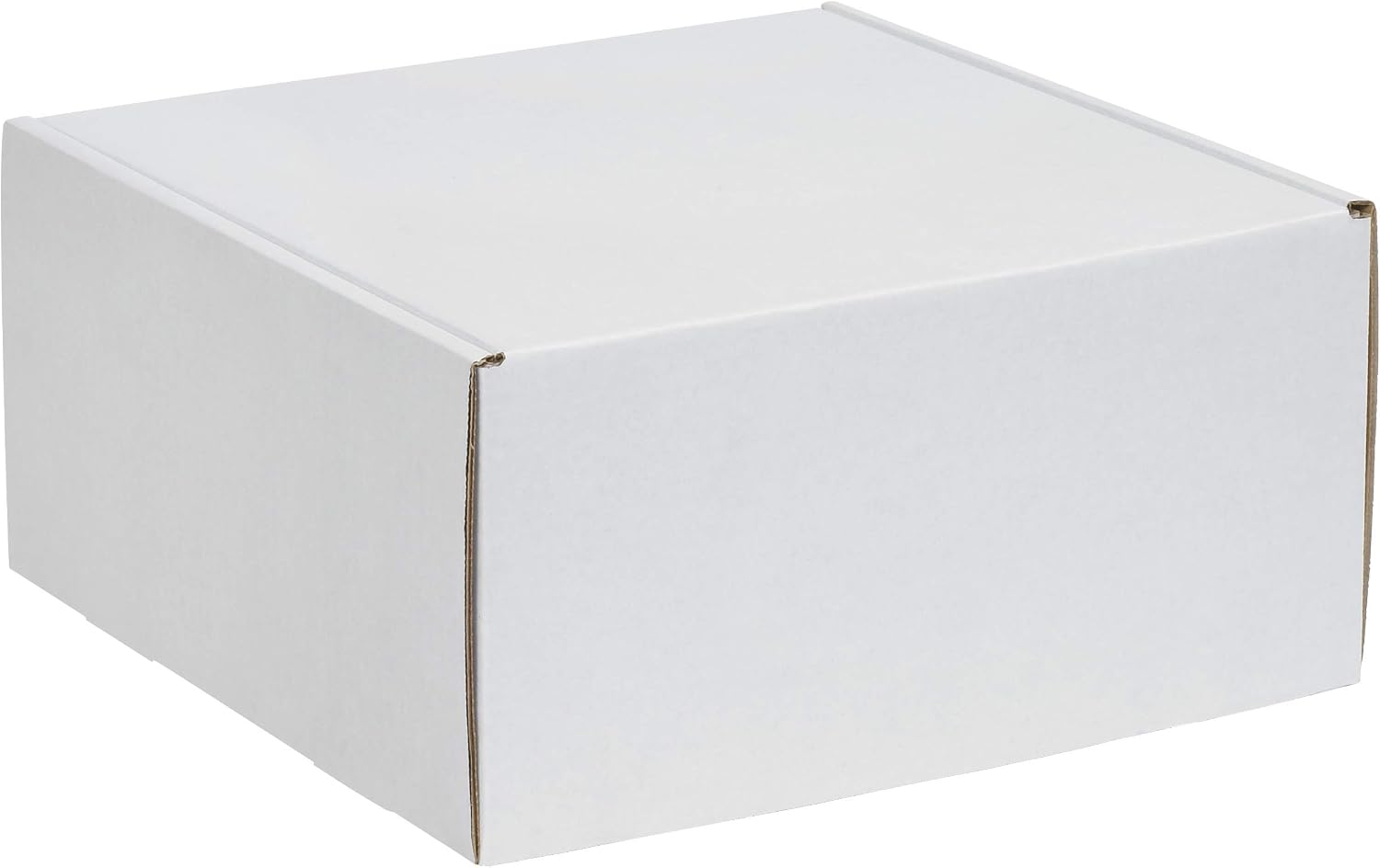 Partners Brand PMFL14106 14"L x 10"W x 6"H, White (Pack of 50)