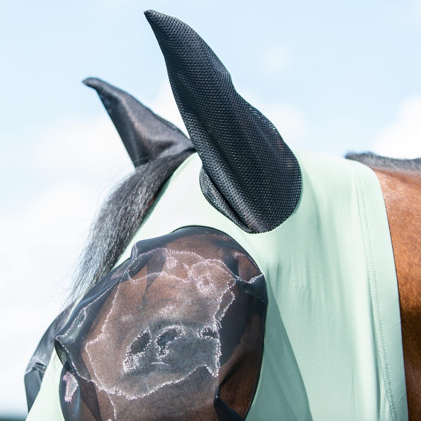 Busse Maschera antimosche Twinfit Flexi con grande distanza degli occhi e chiusura lampo, colore: verde oliva (sangue caldo)