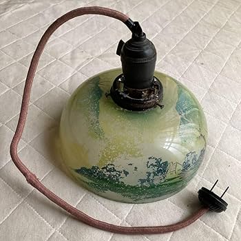 Amazon.co.jp: 明治時代.大正時代初期.レトロなオ-ルド.ノリタケ