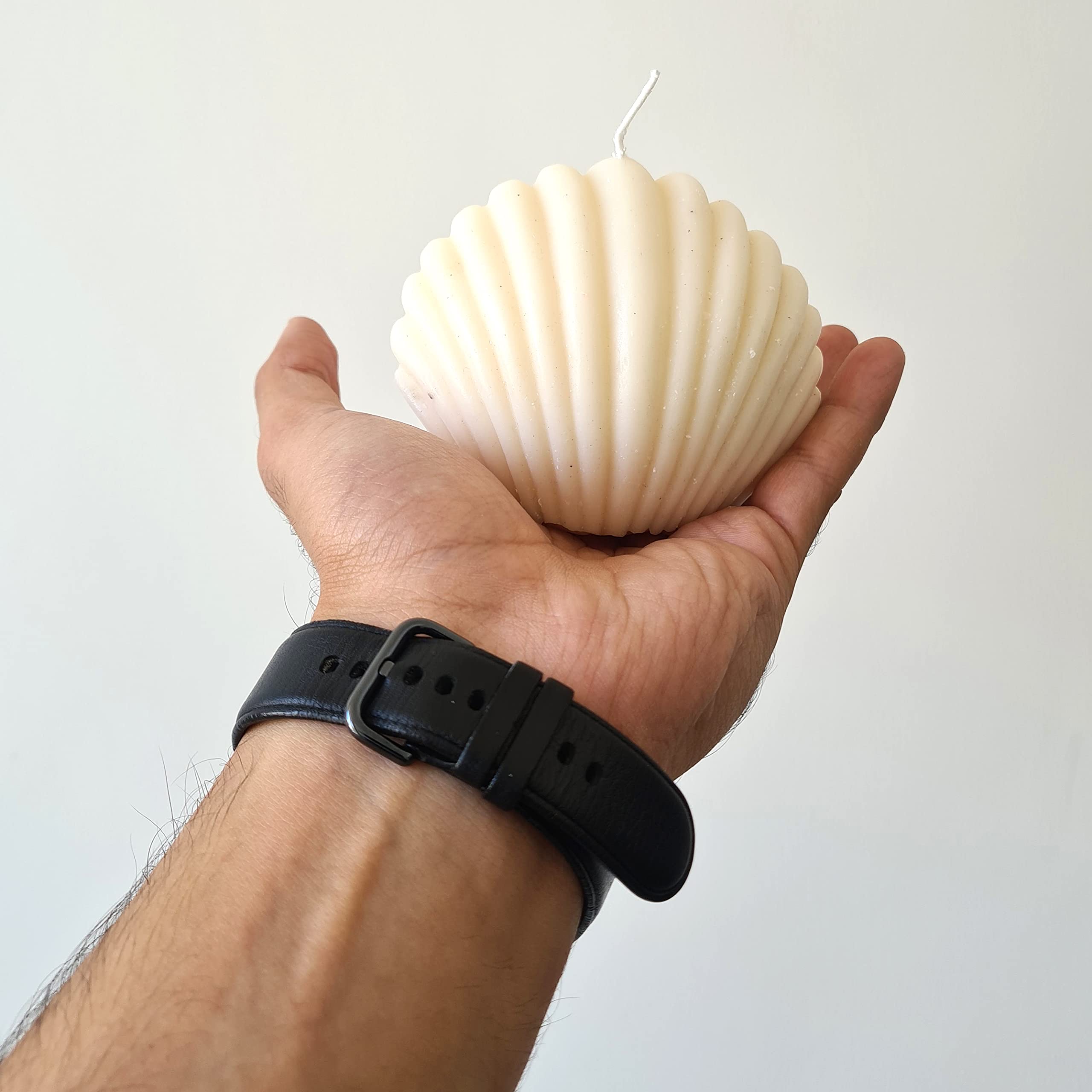 POLARIS FOX Shell Shape Candle White in Color | 300GRAM | Floral Fragrance 2