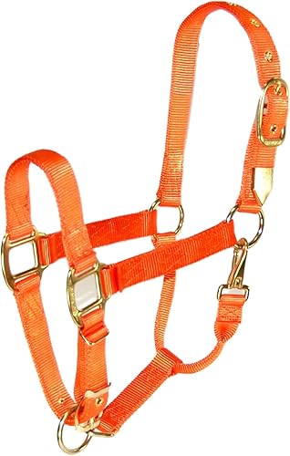 Hamilton Cabestro de nailon de 1 pulgada con barbilla ajustable, naranja mango, tamaño de año de 300 a 500 libras