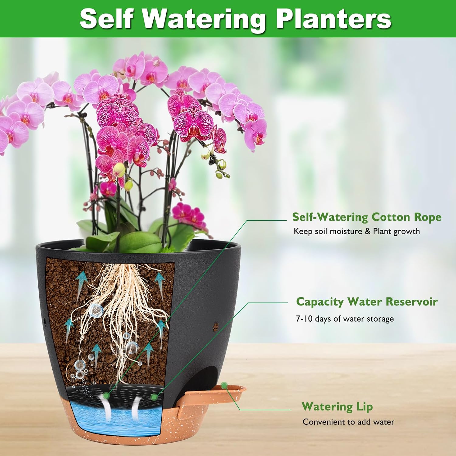 Vanslogreen 6 Inch Orchid Pots with Holes, 2 Pack Self Watering Planters for Orchids Plastic Orchid Pot Plant Flower Pots for Orchids Indoor Outdoor (Black with Brown) image 2