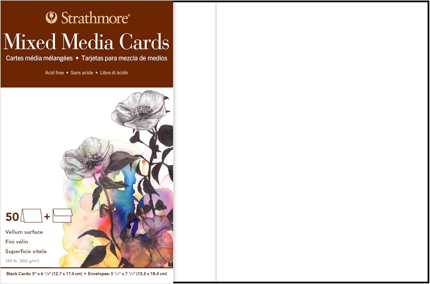 Strathmore Mixed Media Cards, 5x6.875 inches, 50 Pack, Envelopes Included - Custom Greeting Cards for Weddings, Events, Birthdays