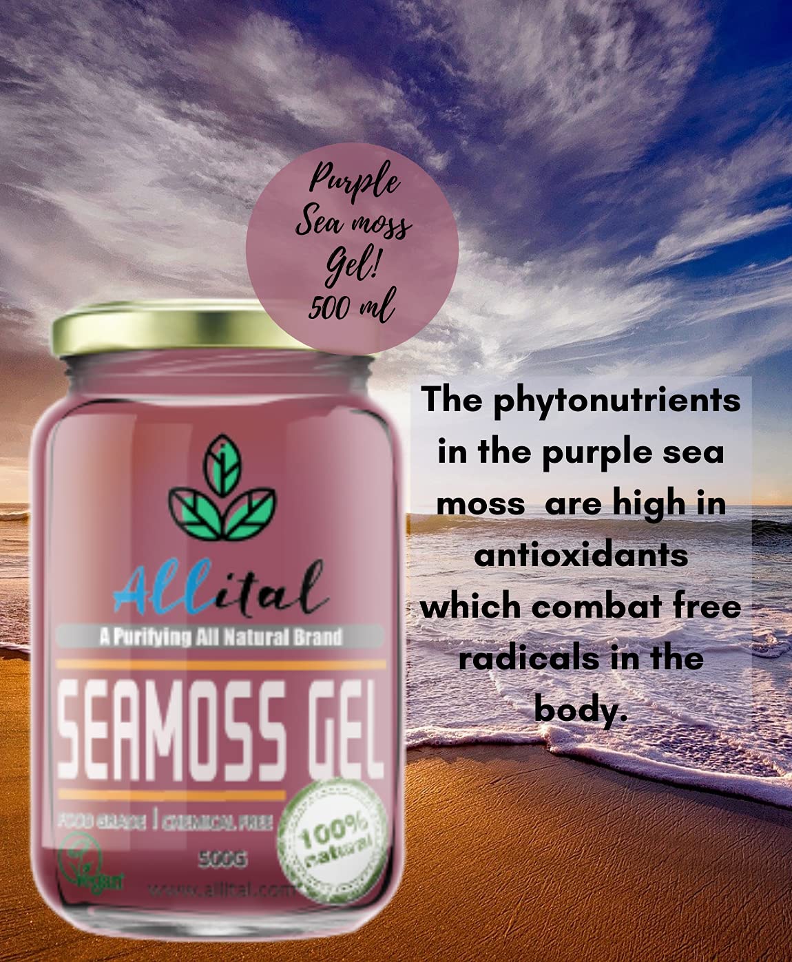 500ml Purple Sea Moss Gel in The UK Wildcrafted in St Lucia Dr Sebi