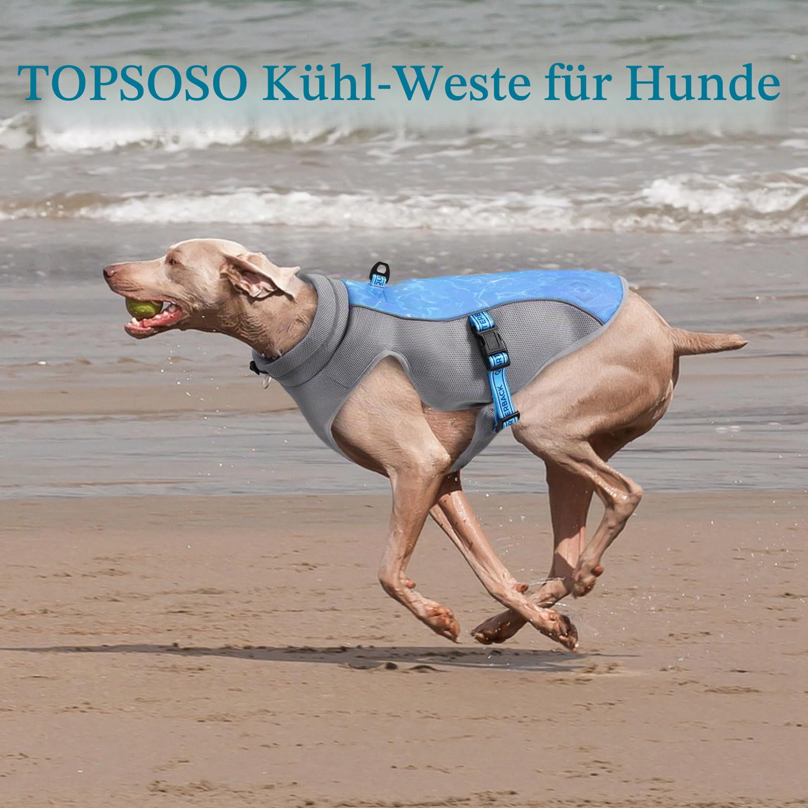 Kühlweste für Hunde Leichtgewicht Kühlweste Hund UV-Schutz Hunde Kühlweste Atmungsaktive Kühlweste für Draußen Strand Wandern Sonnenschutz Hund für Kleine Mittlere und Große(Blau, L)