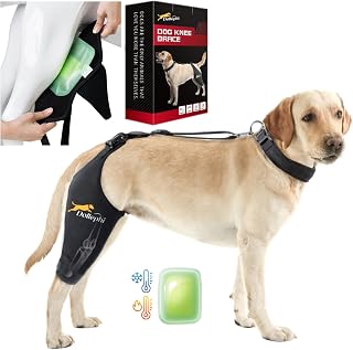 Dog Knee Brace for Torn ACL Hind Leg, Hot/Cold Compress for Patella Dislocation or Osteoarthritis, Cruciate Ligament Injuries, for Medium & Large Dogs,Patent Pending(Right Leg,L)