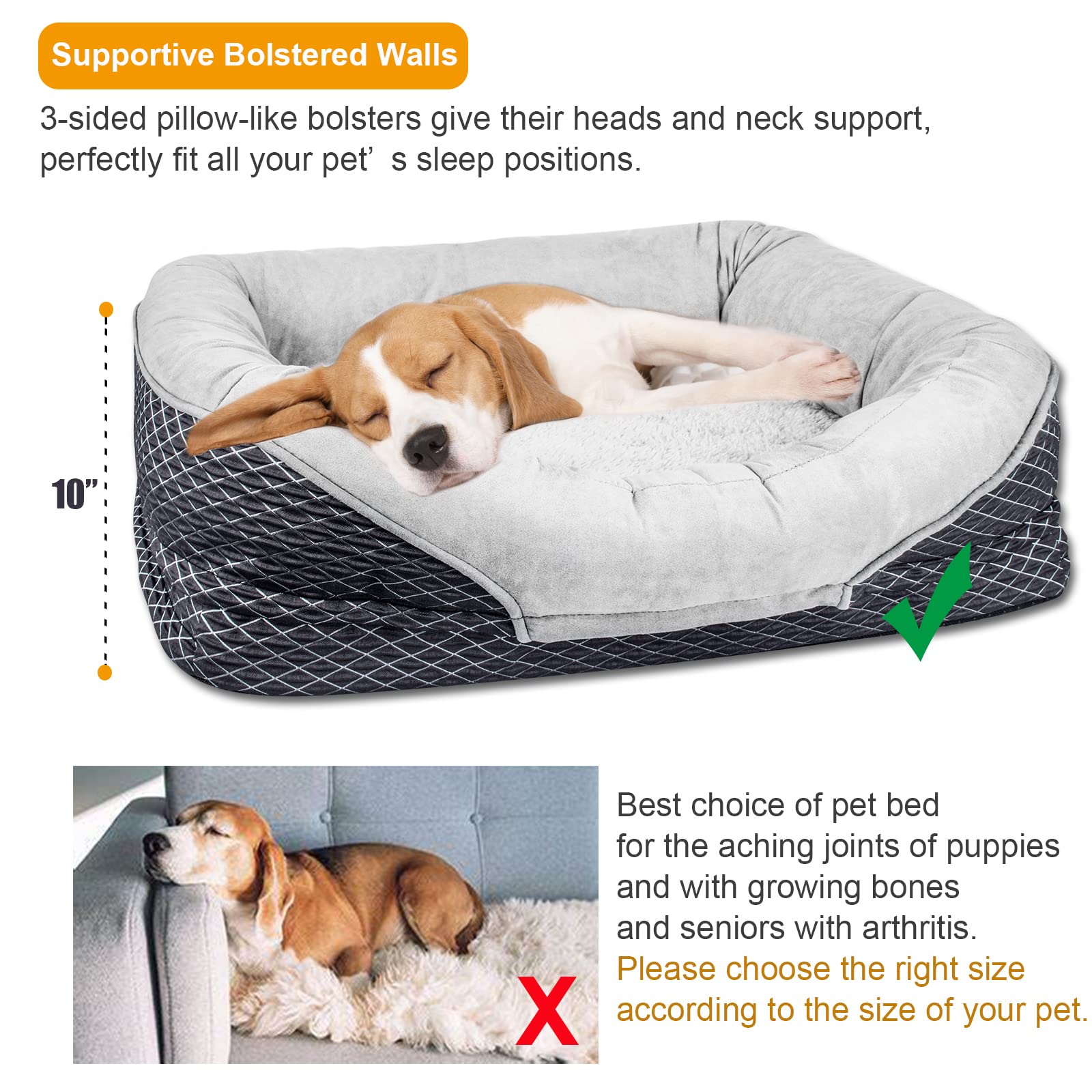 How Do I Choose The Right Bed For My Dog