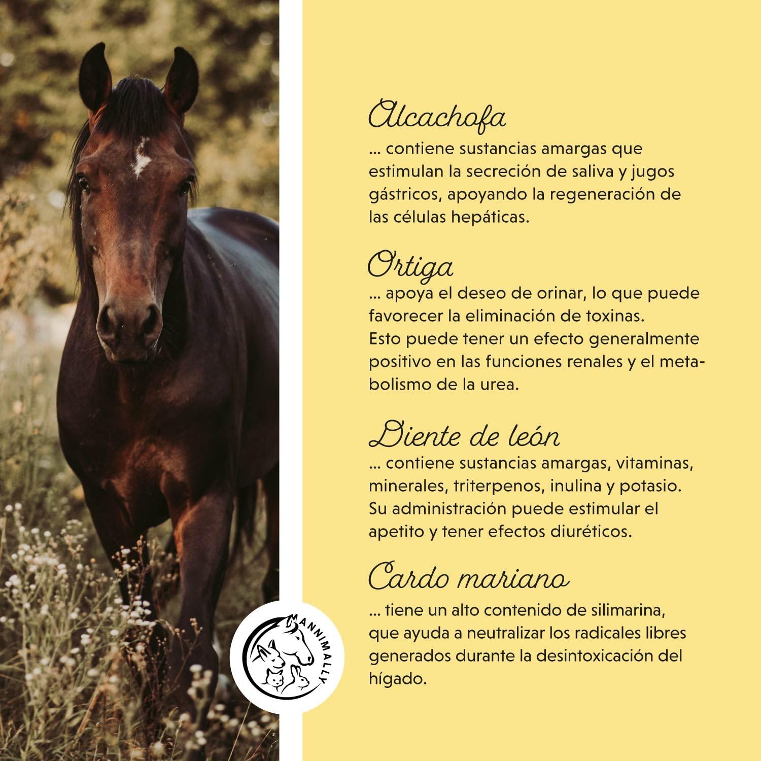 Líquido para Hígado y Riñones para Caballos - Jugo de Hierbas de 1000 ml con Cardo Mariano y alcachofa para el hígado - Jugo para los riñones para un metabolismo Saludable en los Caballos
