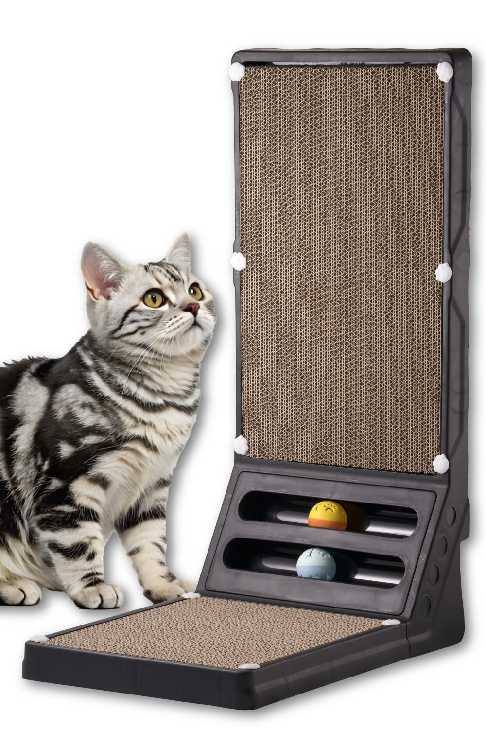 96猫楽天コレクションスクラッチ 96猫楽天コレクションスクラッチ