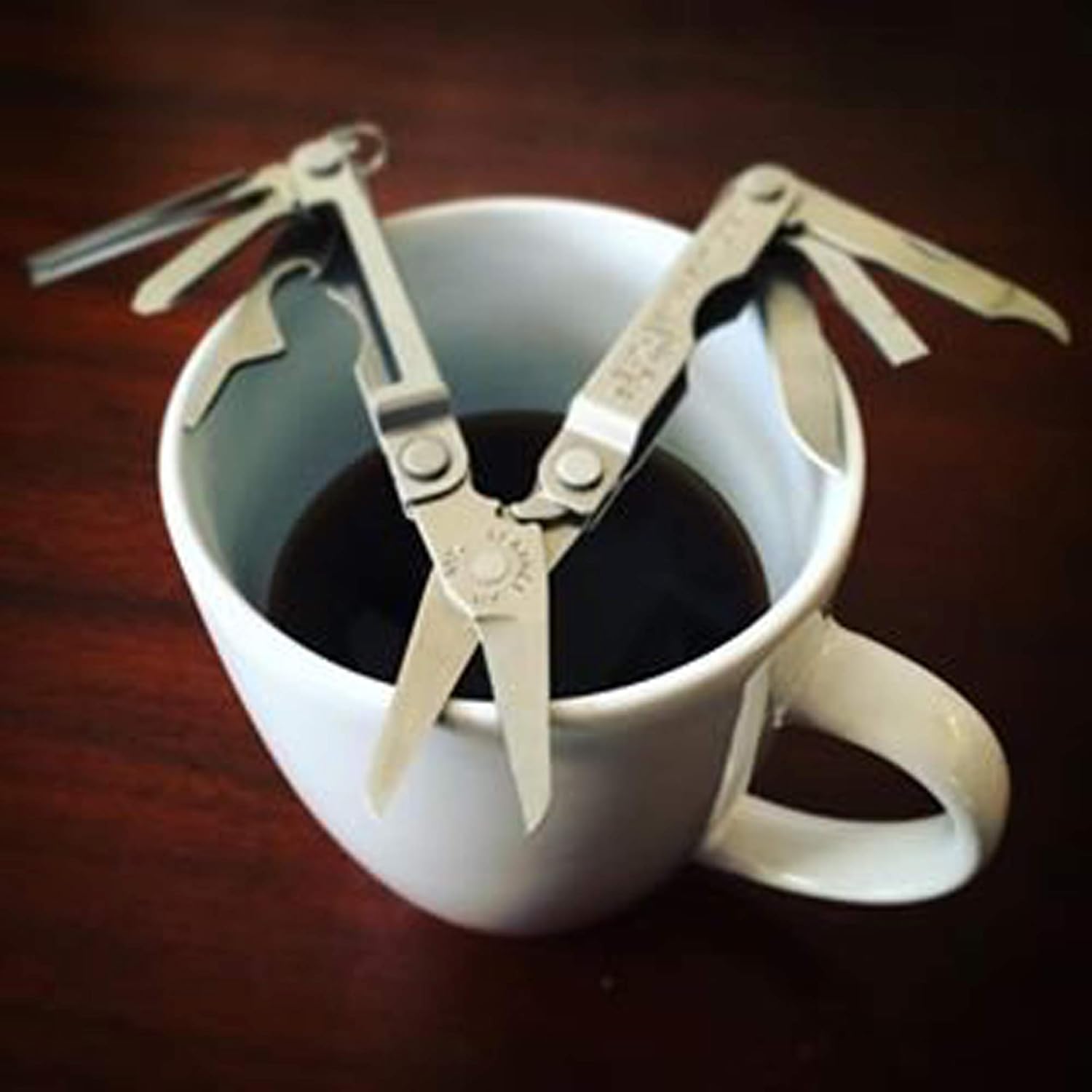 LEATHERMAN, Micra Keychain Multitool with Spring-Action Scissors and Grooming Tools, Stainless Steel, Built in the USA, Stainless - Multitools - 