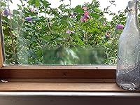 Review Image by Tweety Bird Tweety Bird