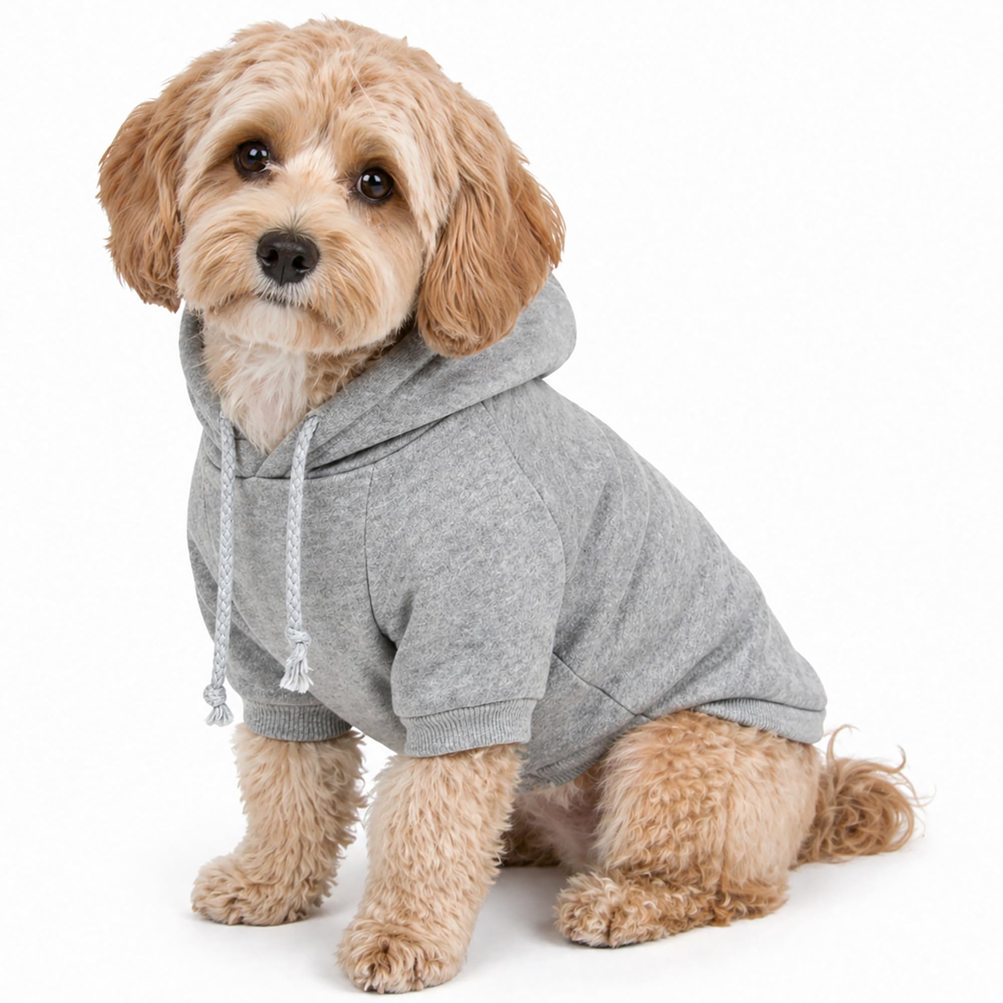 Sweat à capuche chien coton gris vêtement chaud grand chien Large