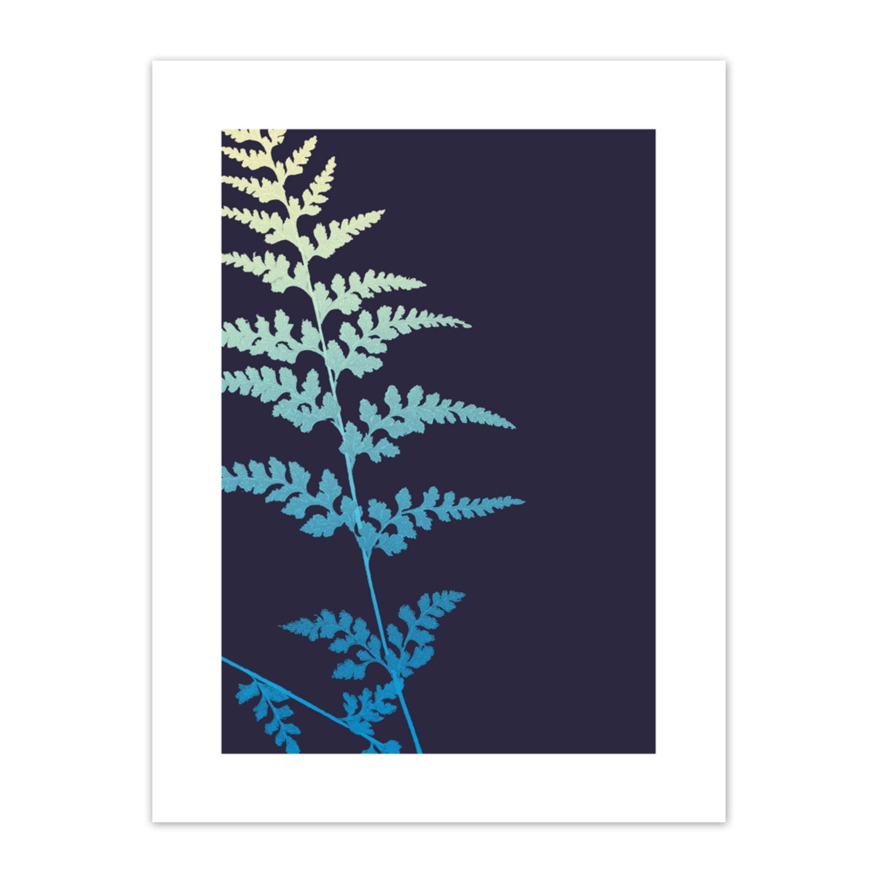 Wee Blue Coo Bright Fern Illustration Art Print Canvas Premium Wall Decor Poster