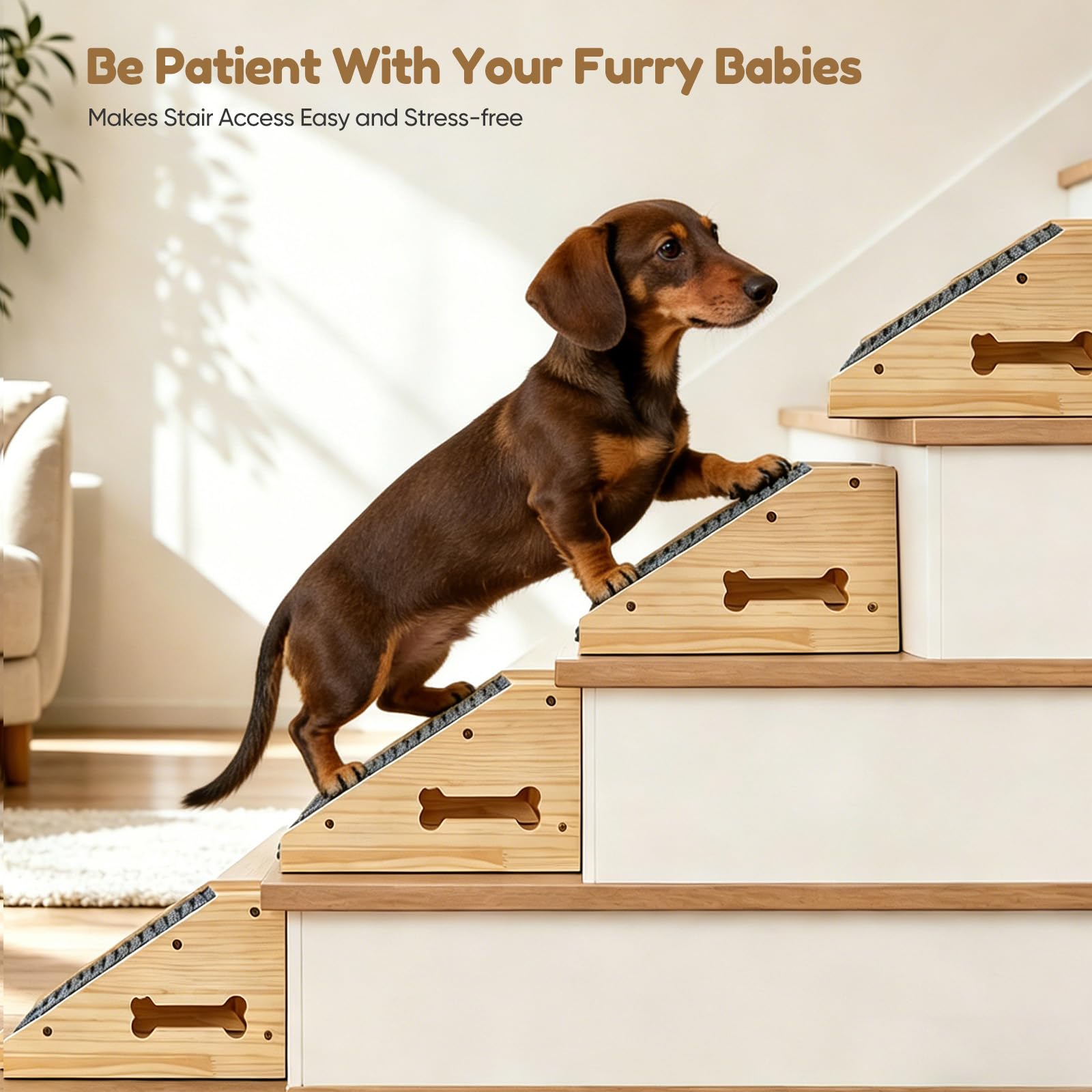4 scale per cani di piccola taglia, in legno | Scaletta antiscivolo per cani con tappeto, rampa per cani di piccola taglia, angolo basso, per letto e divano