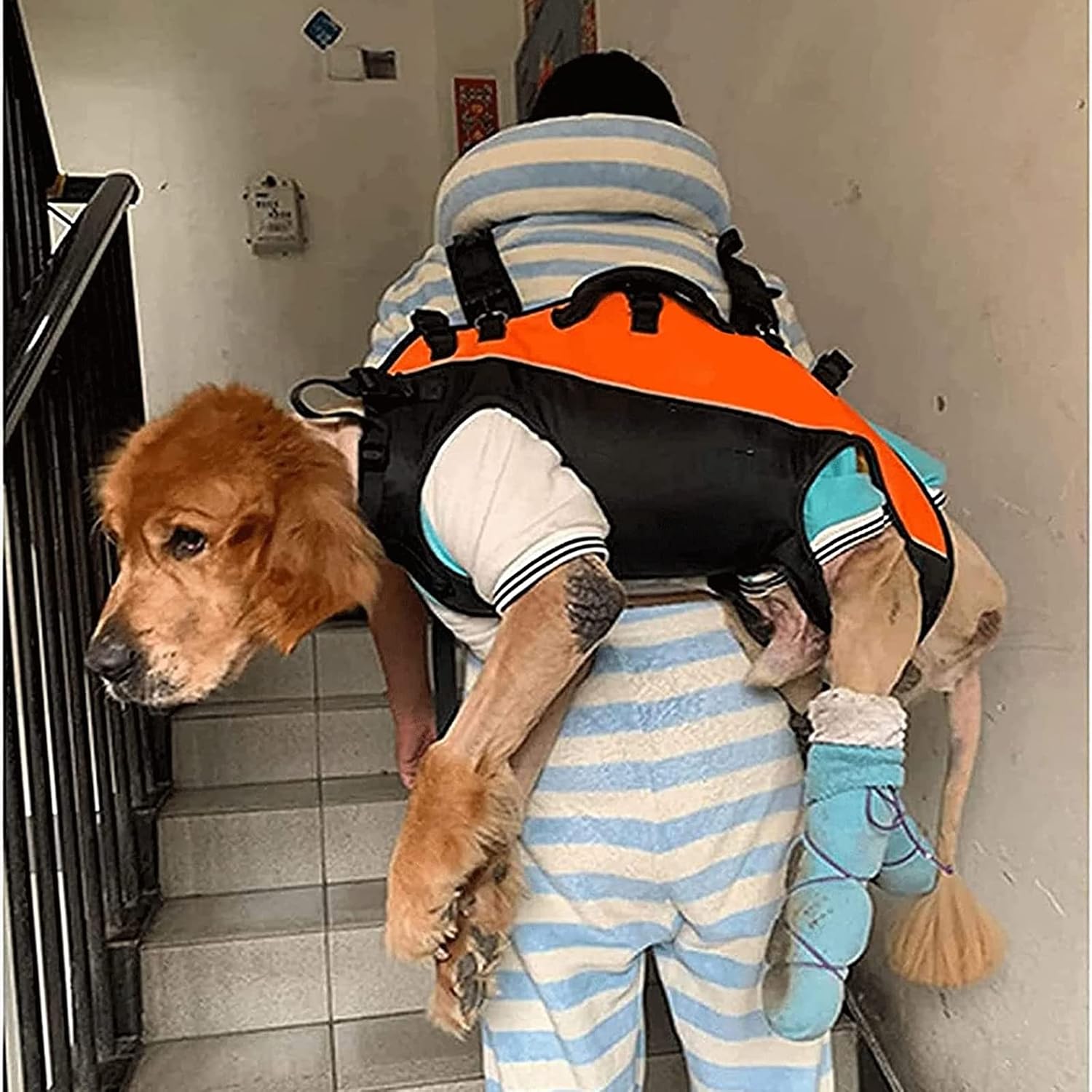 Inuwa and Other Portable stretchers for Animals Foldable Backpack stretchers Emergency Animal stretchers Safe for Animals C (E) (B)