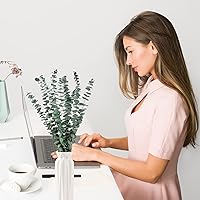 Vista 8 de 10 tallos de eucalipto secos de 17 pulgadas de eucalipto real para colgar en la ducha, 100% hechos de hojas frescas, boda, hogar, granja, decoración