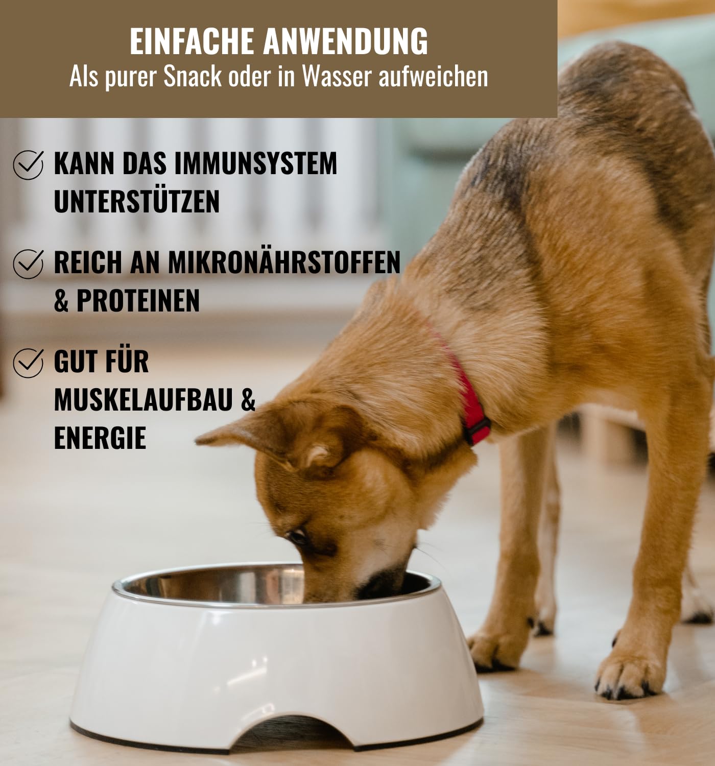 RiNa 100% Pferdefleisch gefriergetrocknet Hundesnack, Barf Topper 6x90 g
