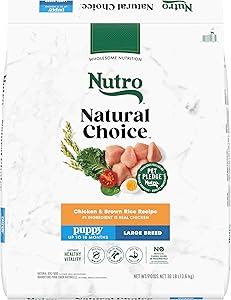 Best Puppy Food for Labs 4 71dQ2H8GkbL. AC SL300