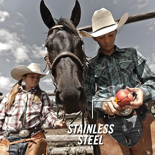 Miniatura 6 de Gerber Gear STL - Navaja de bolsillo plegable para caza y exteriores, punta de caída de 2.5 pulgadas y hoja de borde liso, color negro