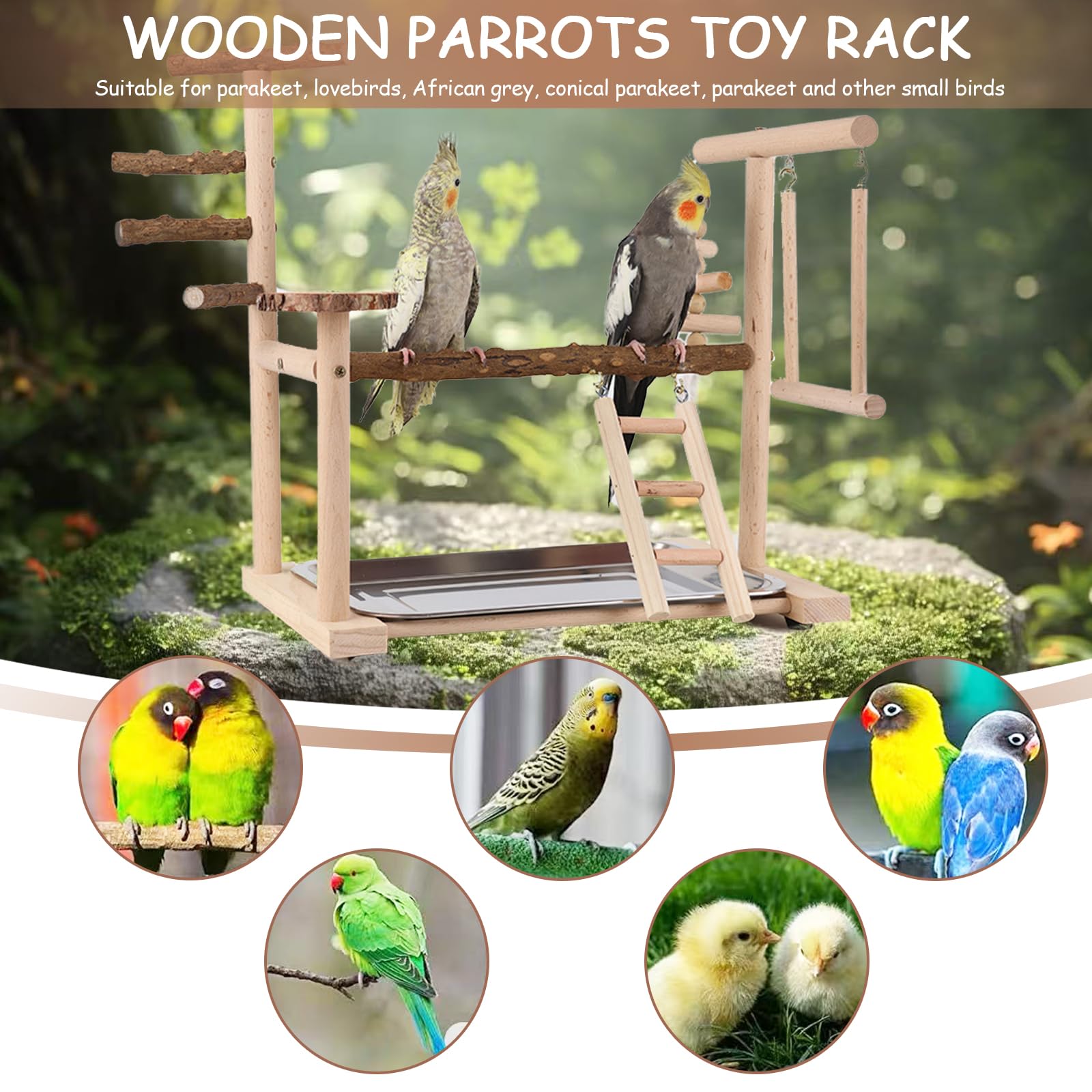 Support de Perroquet - Aire de Jeux pour Oiseaux en Bois avec Échelle, Balançoire, Mangeoire, Plateau et Jouets de Gymnastique Perchoir pour Oiseaux de Petite à Moyenne Taille