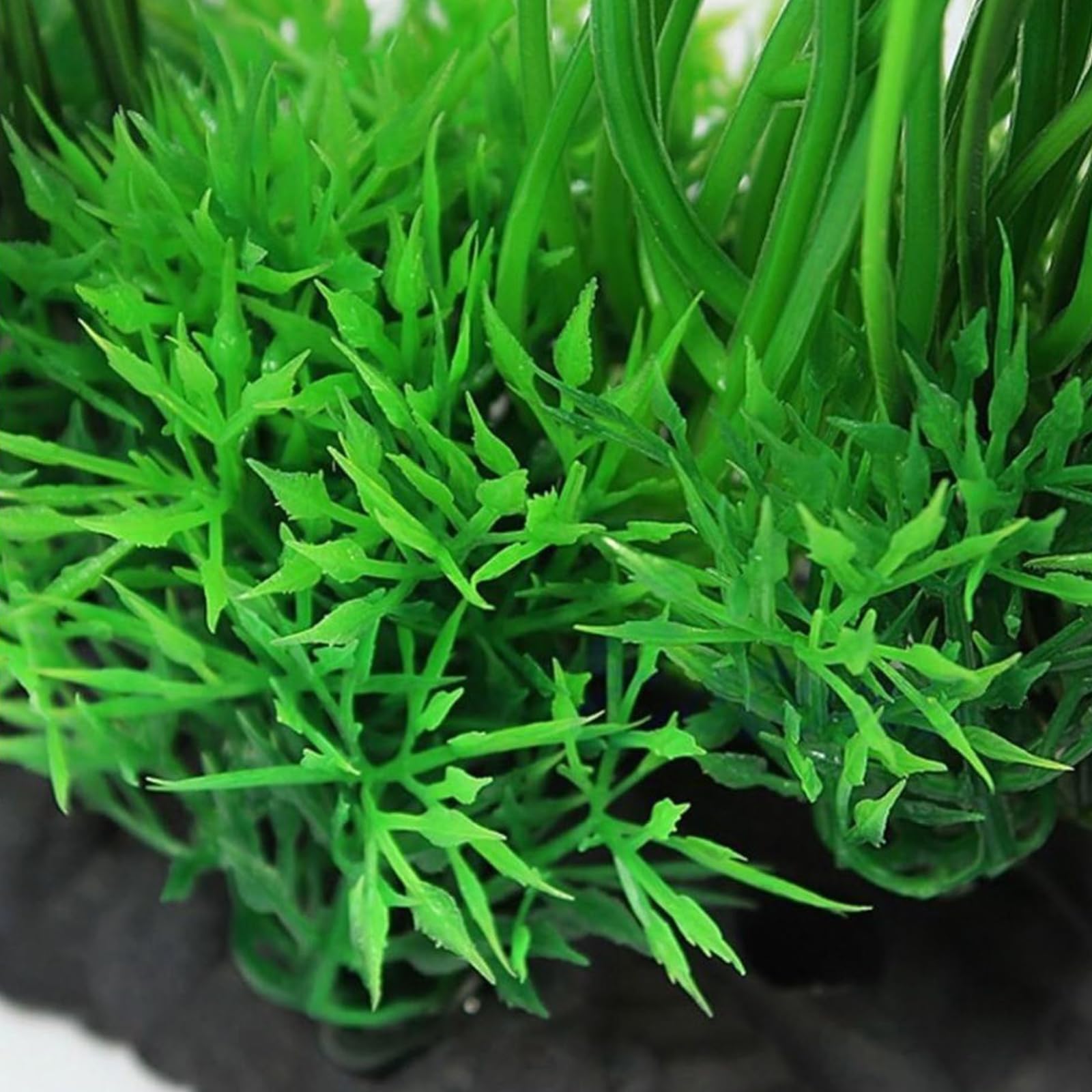 Piante Finte Acquario 2 Pezzi - Base In Ceramica, Realistiche E Sicure - Foto 9