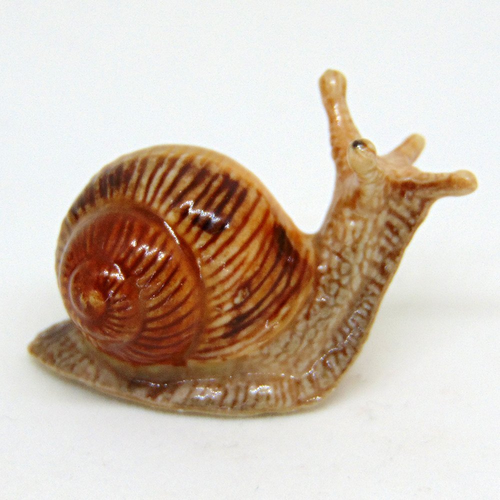 "Helix" Garden Snail LC532
