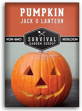 Jack O Lantern Pumpkin Seeds for Planting - 1 Pack | Heirloom Non-GMO Variety, Carving Pumpkins for Halloween, Fall Harvest Decor - Survival Garden Seeds