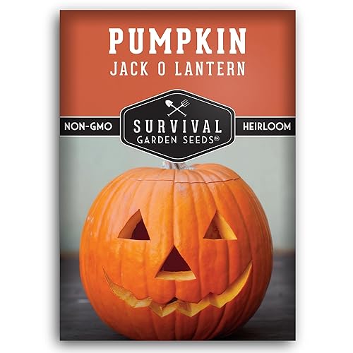 Jack O’ Lantern Pumpkin Seeds for Planting | Heirloom Carving