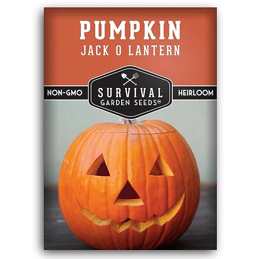 Jack O’ Lantern Pumpkin Seeds for Planting | Heirloom Carving Pumpkins for Halloween, Fall Harvest Decor – Non-GMO Variety – Survival Garden Seeds (1 Pack)