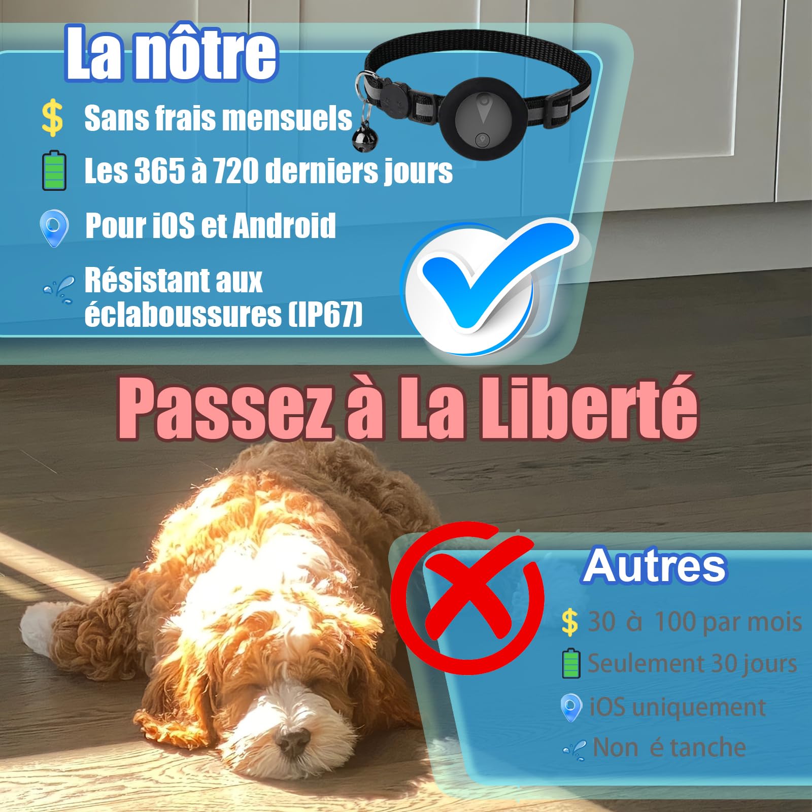 Collare GPS per Gatti Compatibile con Sistemi iOS e Android GPS per Cani Riproduzione Della Cronologia dei Tracciati (7 giorni) Localizzatore GPS Cani Tracciamento Impermeabile (IP67) -Nero Pieno