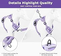 Vista 7 de No Pull xs Dog Harness,Soft Adjustable No Choke Escape Proof Pet Harness Vest,Purple,XS