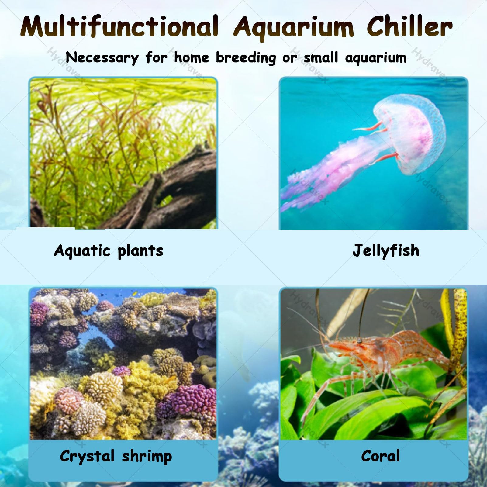Refrigeratore per acquario, 1/3 HP, refrigeratore d'acqua per pesci, coralli e gamberetti, compressore refrigerante con telecomando e pompa, ideale per acquari di gamberetti e uso domestico