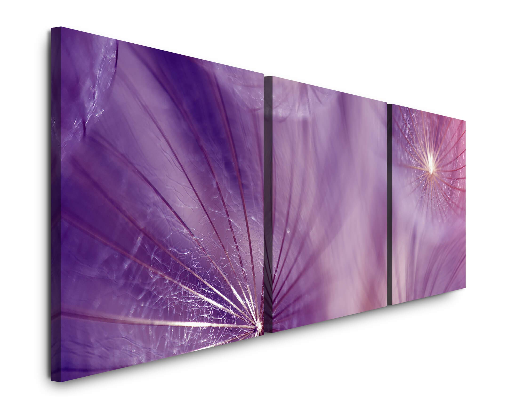 Blumensamen 220 x 70cm - 3 Bilder je 70x70cm Bild XXL Panorama Deko Wandbilder auf Leinwand
