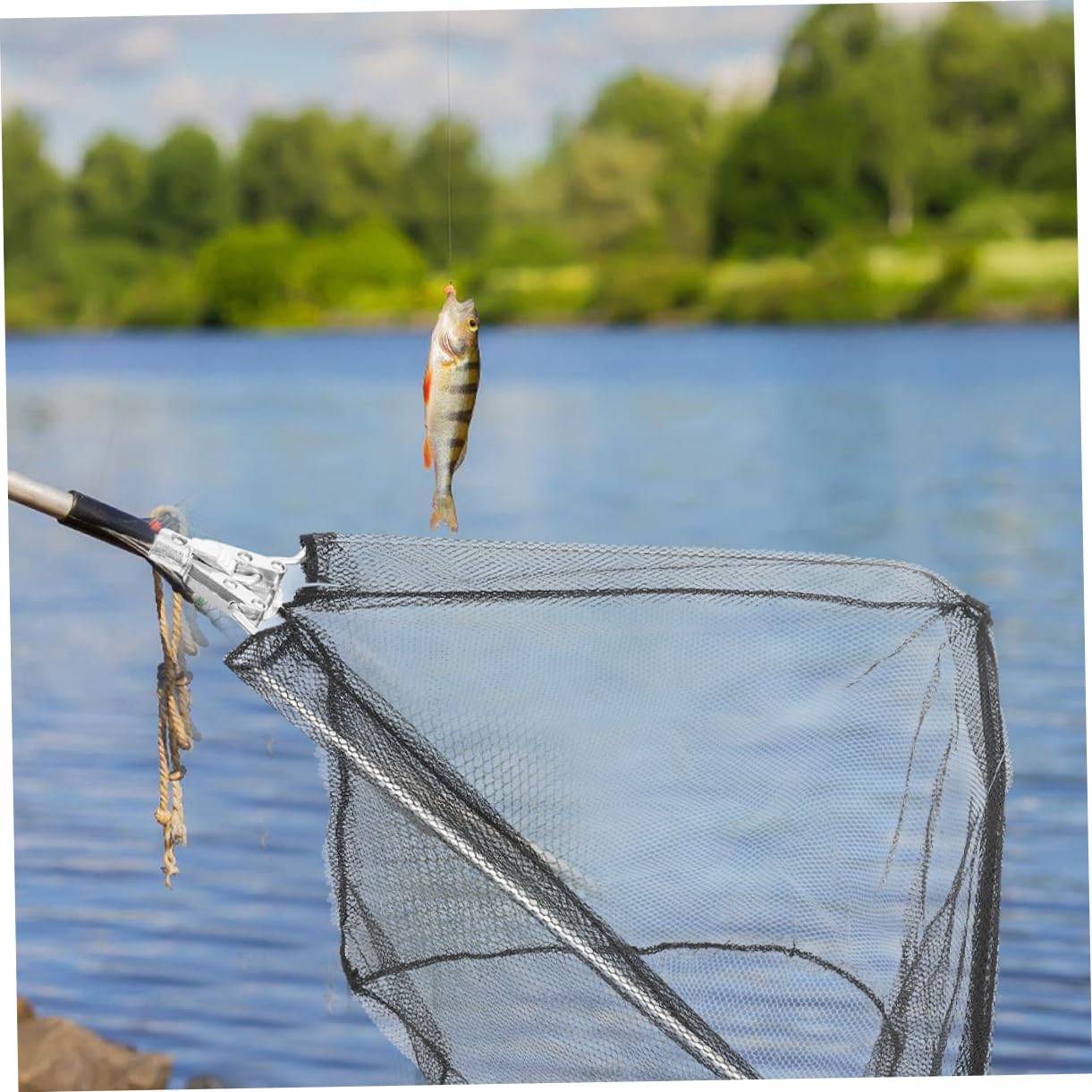Red de Pesca Plegable Triangular Negra, 2 Piezas, Hierro y Nylon