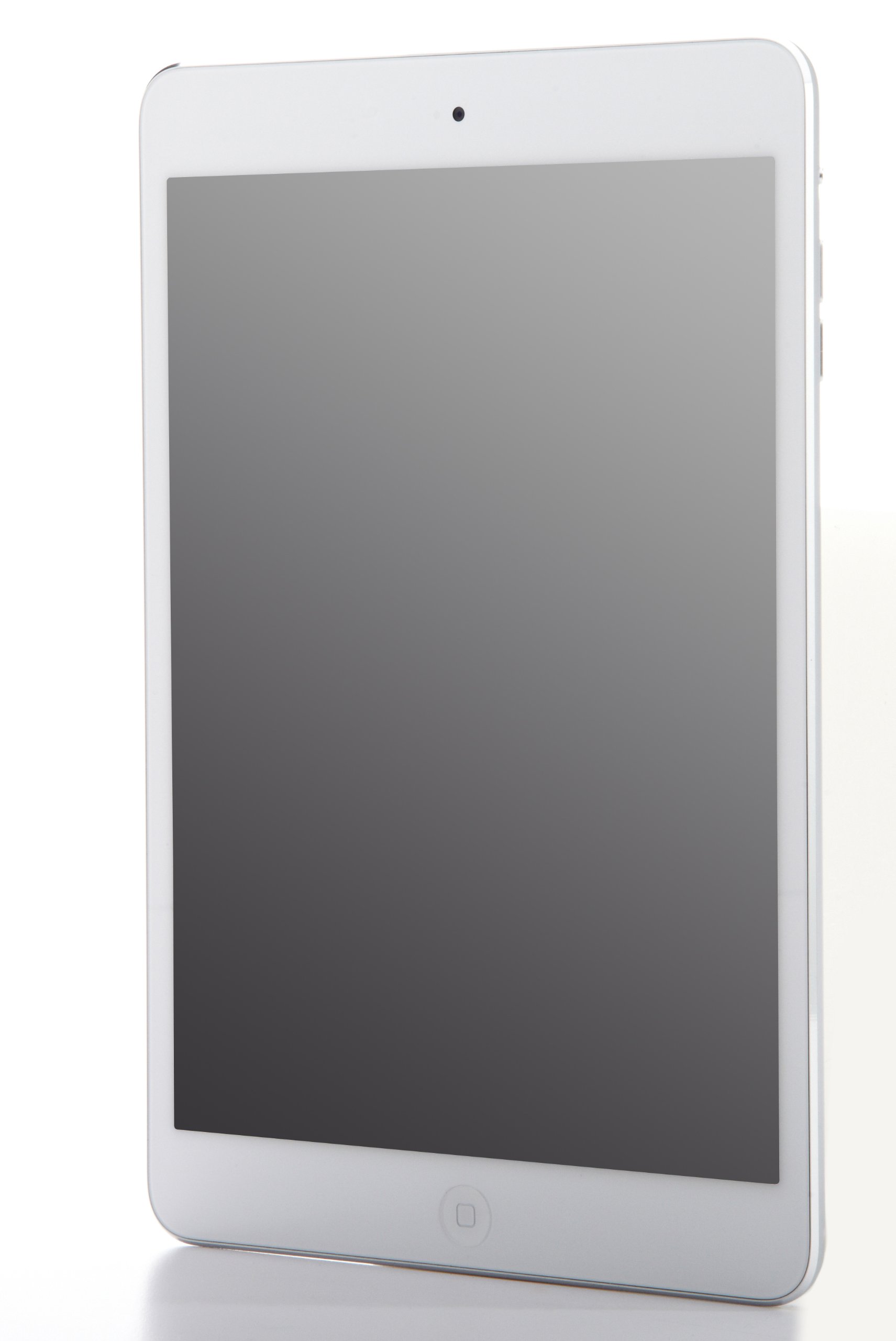 Apple iPad mini with Wi-Fi + Cellular 16GB - White & Silver