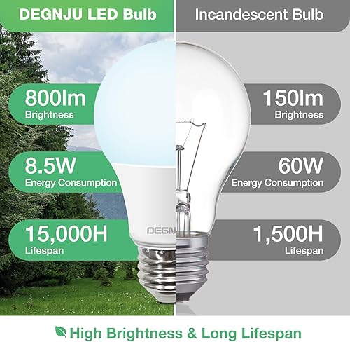 Miniatura 2 de Bombillas LED A19 de luz diurna 5000K, bombillas LED equivalentes a 60 W, 800 LM, 15000 horas, base estándar E26, no regulable, bombillas LED